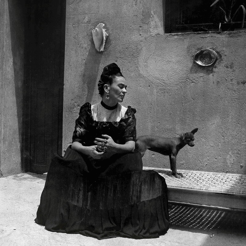 Frida Kahlo's influence today